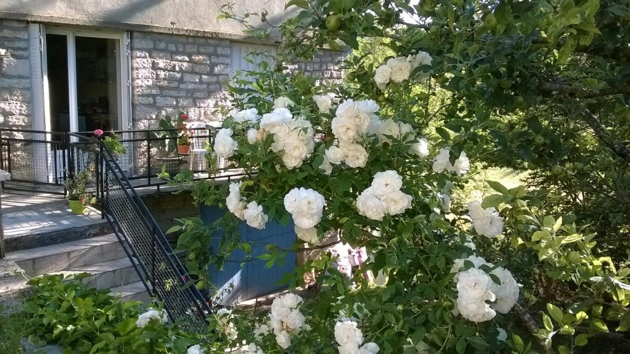 Bed and Breakfast Au Domaine Des Oiseaux Montredon  Экстерьер фото