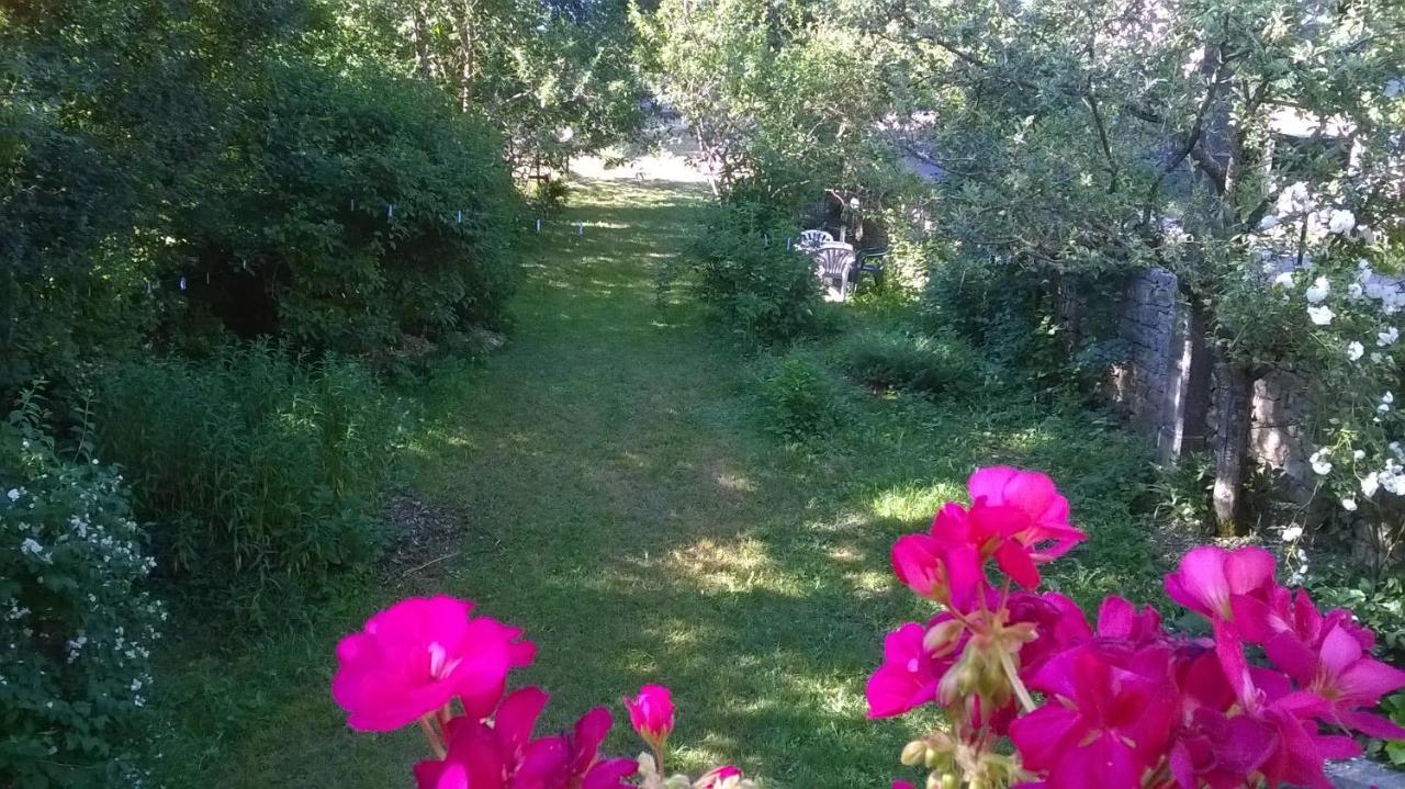 Bed and Breakfast Au Domaine Des Oiseaux Montredon  Экстерьер фото