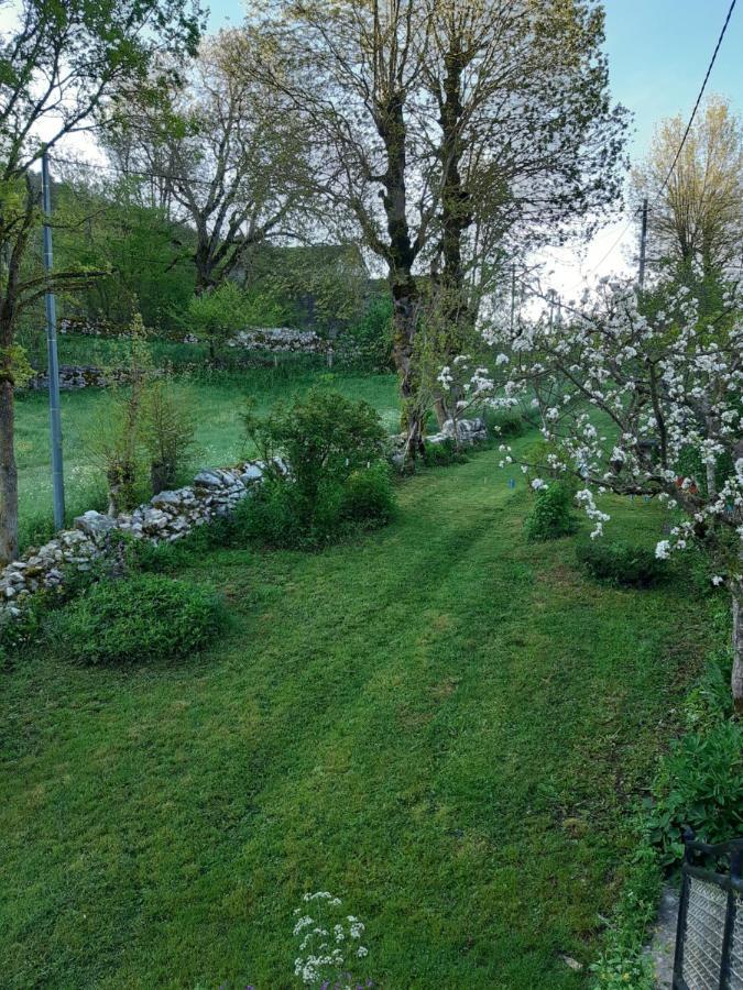 Bed and Breakfast Au Domaine Des Oiseaux Montredon  Экстерьер фото
